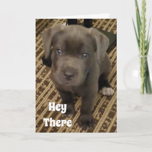 MIJN WENS IS EEN "KUS" VAN JE OP JE *VERJAARDAG* KAART