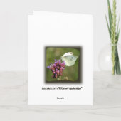 Mijn Wenskaart van Pomeranian van het Meisje Kaart (Achterkant)