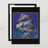 Mijn wereld ontrafelt briefkaart (Voorkant / Achterkant)