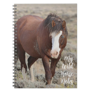 Mijn wilde paard Notities Notitieboek