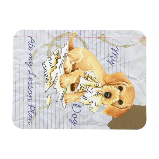 Mijn Wirehaire Dachshund Ate mijn Lesson Plan Magneet (Horizontaal)