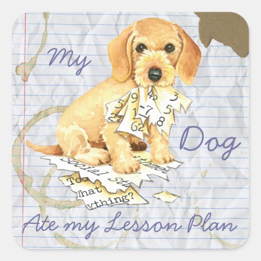 Mijn Wirehaire Dachshund Ate mijn Lesson Plan Vierkante Sticker (Voorkant)