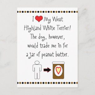 Mijn Witte Terrier uit West Highland houdt van Pea Briefkaart