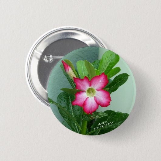 Mijn woestijn-Roos Ronde Button 5,7 Cm (Voorkant /achterkant)