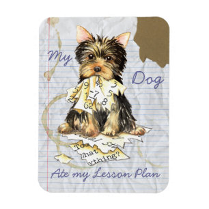 Mijn Yorkie Ate mijn Lesson Plan Magneet