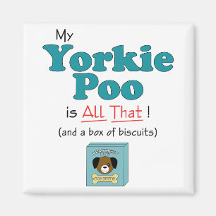 Mijn Yorkie Poo is alles. Magneet