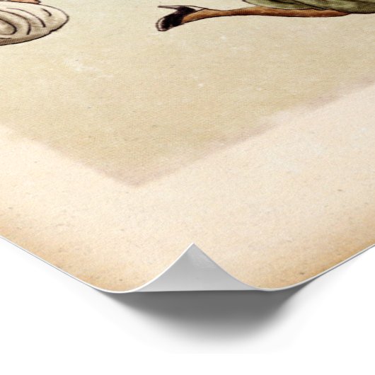 "Mijn zogenaamde Selfish Life" Poster - niet omlij (Hoek)