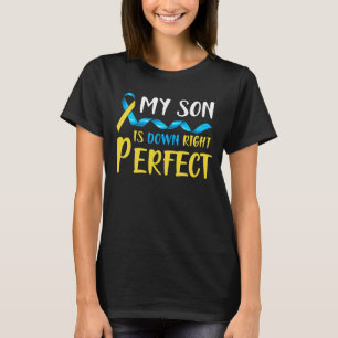 Mijn zoon is helemaal onderaan perfect syndroom t-shirt