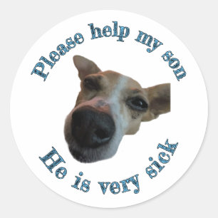 Mijn zoon is lelijk ronde sticker