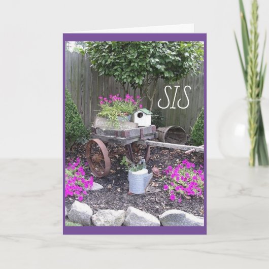 **MIJN ZUIVERDAG VERHAALEN **SPECIALE ZISTER** KAA KAART (Voorkant)