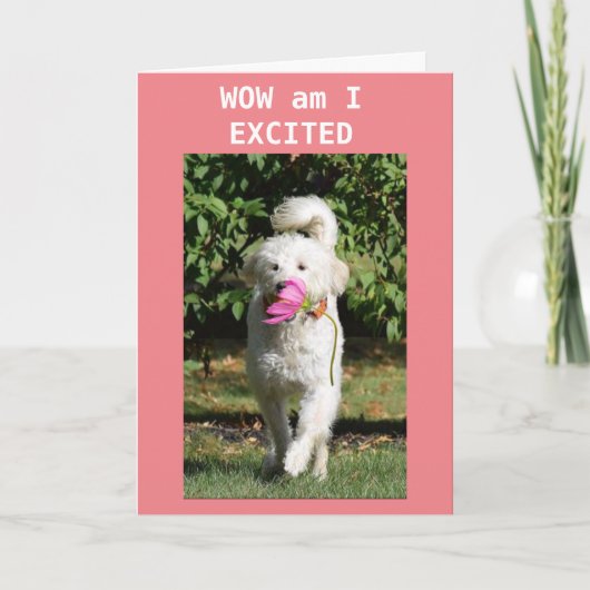 MIJN ZUIVERDAGEN **DOCHTER** KAART (Voorkant)