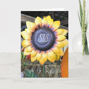 **MIJN ZUIVERINGSDAG VOOR MIJN **SPECIALE SIS*-KAA KAART