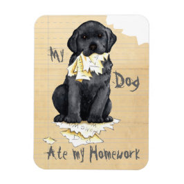 Mijn zwart lab Ate Mijn thuiswerk Magneet