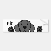 Mijn Zwarte Lab "Hoi!"