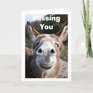 MIJNHEER DONKEY VERMIST U OF NIET HEEL MOGELIJK DA KAART