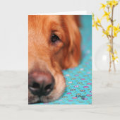 Mijnheer Farley, het Golden retriever Kaart (Gele Bloem)