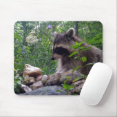 Mika the Raccoon Muismat (Met muis)