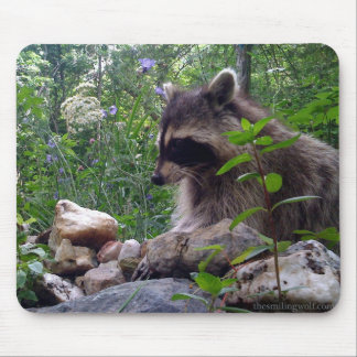 Mika the Raccoon Muismat