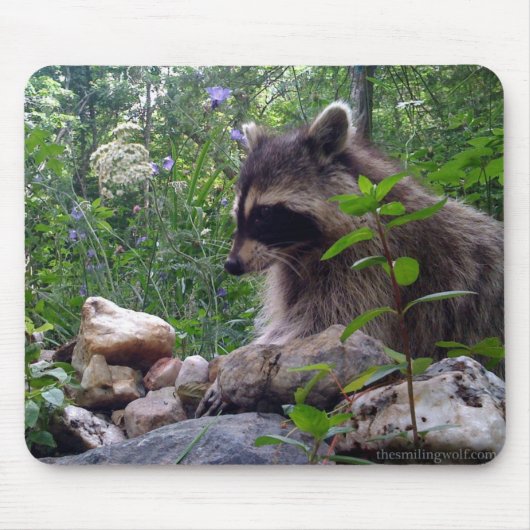 Mika the Raccoon Muismat (Voorkant)