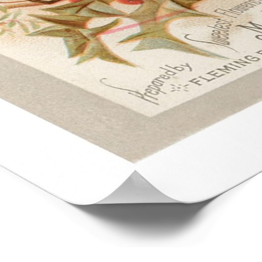 Mikado Cologne Poster (Hoek)