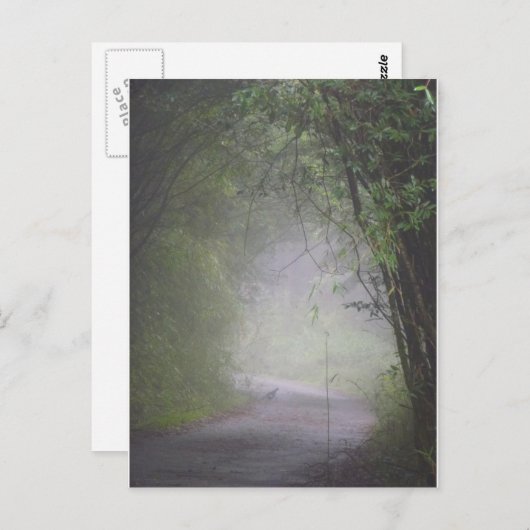 Mikado fazant briefkaart (Voorkant / Achterkant)