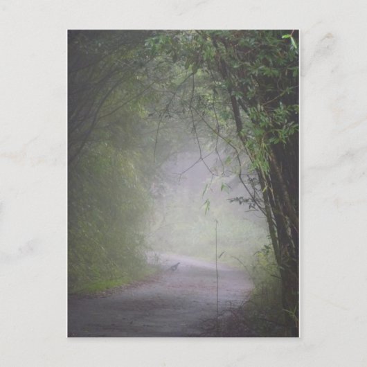 Mikado fazant briefkaart (Voorkant)