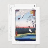 Mikawa Island Postcard Briefkaart (Voorkant / Achterkant)