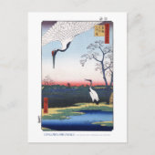 Mikawa Island Postcard Briefkaart (Voorkant)