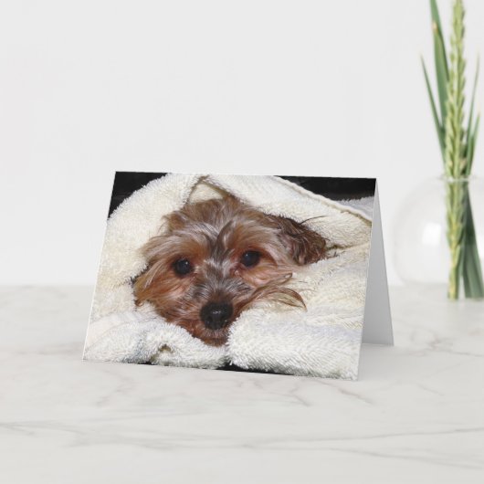 Mikayla Kaart (Voorkant)