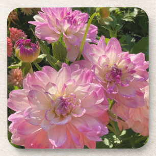 Mikayla Miranda Dahlia, prachtige Paarse bloem Bier Onderzetter