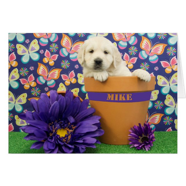 Mike, foto van week 5 (Voorkant Horizontaal)