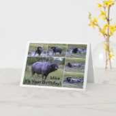 Mike Gefeliciteerd Kaapbuffel Modderbad Kaart (Gele Bloem)