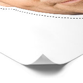 Mike Huckabee Mask Poster (Hoek)