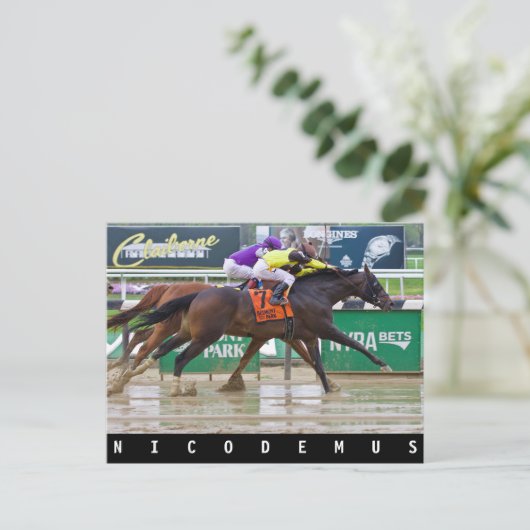 Mike Luzzi-Nicodemus Briefkaart (Staand voorkant)