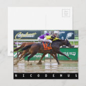 Mike Luzzi-Nicodemus Briefkaart (Voorkant / Achterkant)