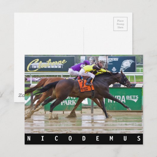 Mike Luzzi-Nicodemus Briefkaart (Voorkant / Achterkant)