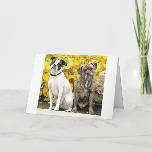 Mike & Molly's bruiloft Aankondiging (Achterkant)