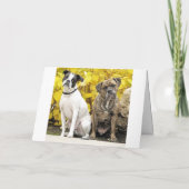 Mike & Molly's Wedding Aankondiging (Achterkant)