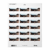 Mike O'Callaghan-Pat Tillman Memorial Bridge Etiket (Full Sheet)