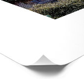 Mikeith Trucks Perfect Poster (Hoek)