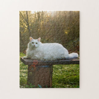 Mikey's Walk Puzzle Legpuzzel