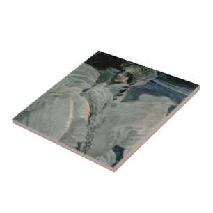 Mikhail Vrubel - The Swan Princess Tegeltje