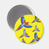 Mikitiez parrot hawaii zommersunset strand spring magneet (Voorkant / Achterkant)
