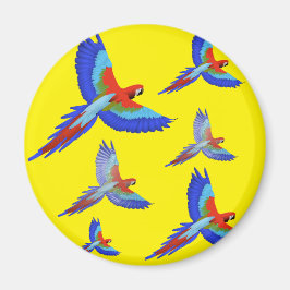 Mikitiez parrot hawaii zommersunset strand spring magneet