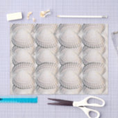 Mikitiez zomer venus shell oceaan strand tissuepapier (Craft)