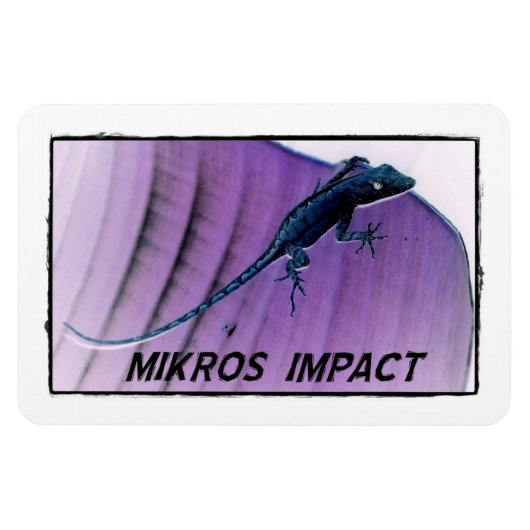 MIKROS IMPACT HAGEDIS FLEXI MAGNEET (Horizontaal)