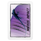 MIKROS IMPACT HAGEDIS FLEXI MAGNEET (Verticaal)