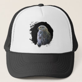 Milan Oiseau Animal Vie Sauvage Forêt Natuur Trucker Pet