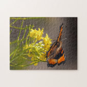 Milbert's Tortoiseshel Butterfly gaat dicht Legpuzzel (Horizontaal)