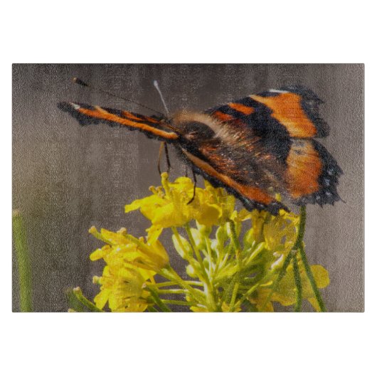 Milbert's Tortoiseshel Butterfly gaat dicht Snijplank (Voorkant)